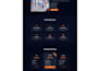 design develop and customize a professional wordpress website